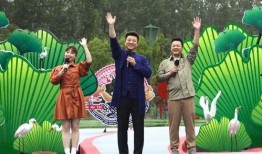 王者爆料表哥视频大全最新,表哥视频大全，揭秘游戏幕后精彩瞬间